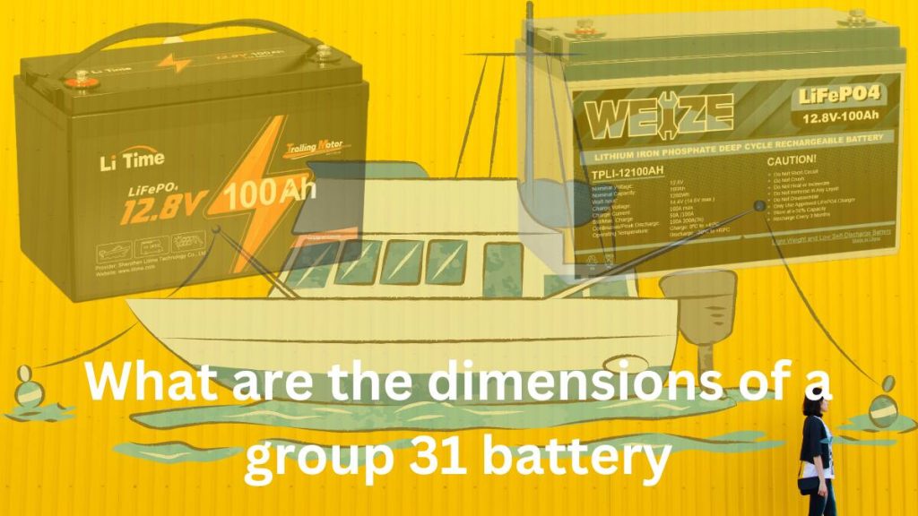 battery group 31 dimensions